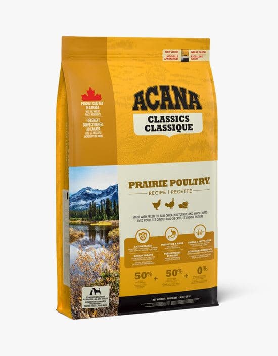 Premium Dog Food (Bag)