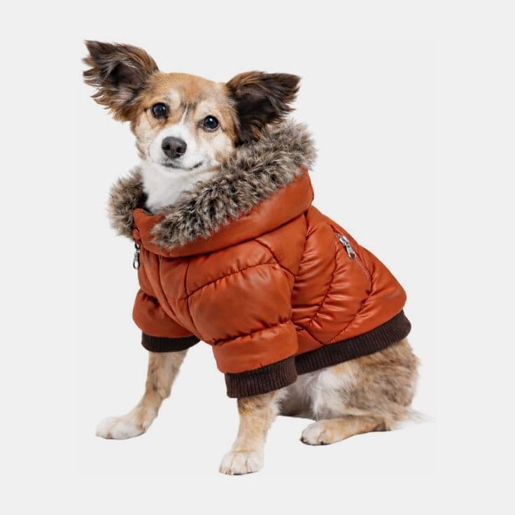 Cozy Winter Parka