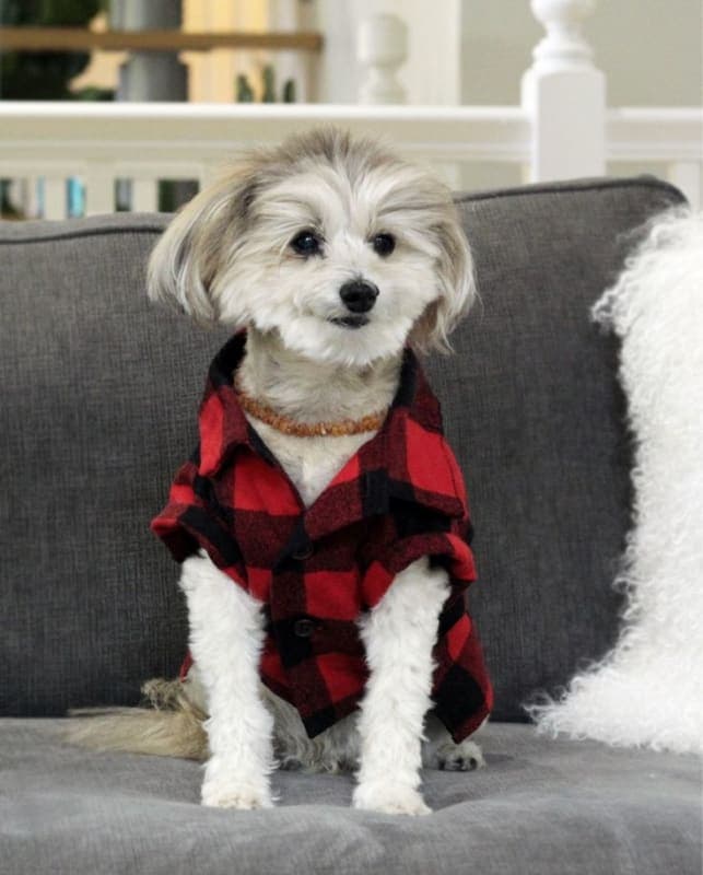 Flannel Shirt