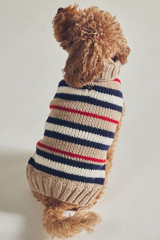 Knit Sweater
