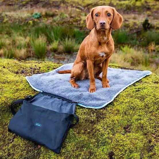 Portable Dog Bed