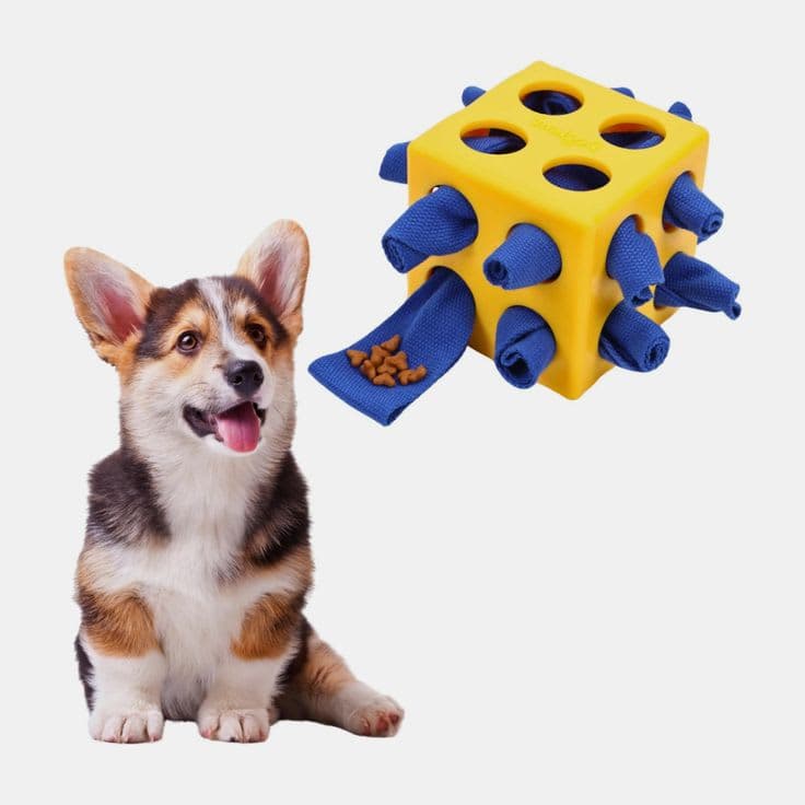 Interactive Puzzle Toy