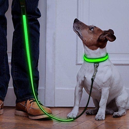 Reflective LED Leash