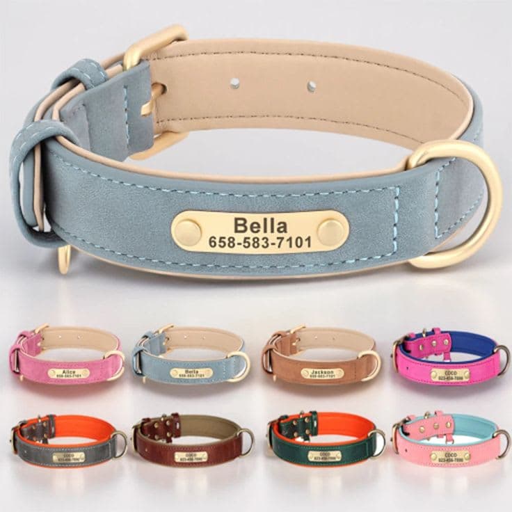 Premium Leather Collar